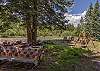 Picnic Table, Swing and River
