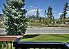 Summer Deck View