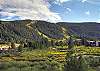 Summer Mountain View