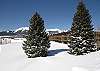 Park and Lawn for Snowplay