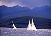 Walk to Marina for Sailboat Rentals, Regattas