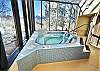 Indoor Hot Tub