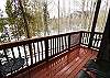 Main Deck View of Forest