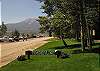 Timberline Summer View