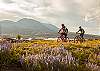 3 Miles to Frisco Peninsula Trails