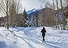 Frisco Plowed Rec Path