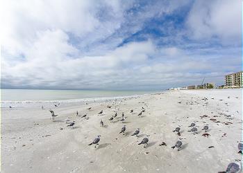 Madeira Beach