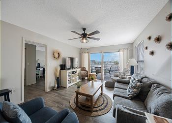 Living Room 1-1