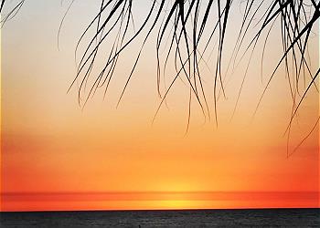 Madeira Sunset