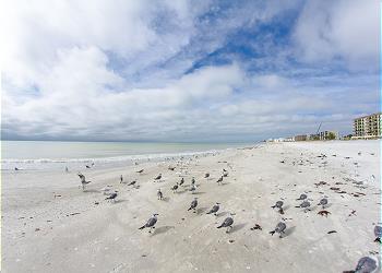 Madeira Beach