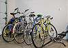 4 adult bike with tag-along and a burley trailer