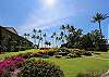 Enjoy lush complex grounds full of flowers and tropical plants