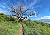 Lahaina Pali Trail (5 minute drive from the condo).