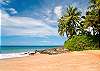  Maui inspired photo