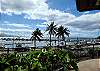 Maalaea Harbor (Full of restaurants like Maalaea General Store, Tante Restaurant and Bar, Seascape Restaurant, Point Break Pizza, Hula cookies & Ice Cream and much more).