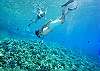 You are surrounded by some of the best snorkel areas and can jump on a snorkel adventure tour out of the Maalaea Harbor.