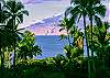 Maui inspired photo.