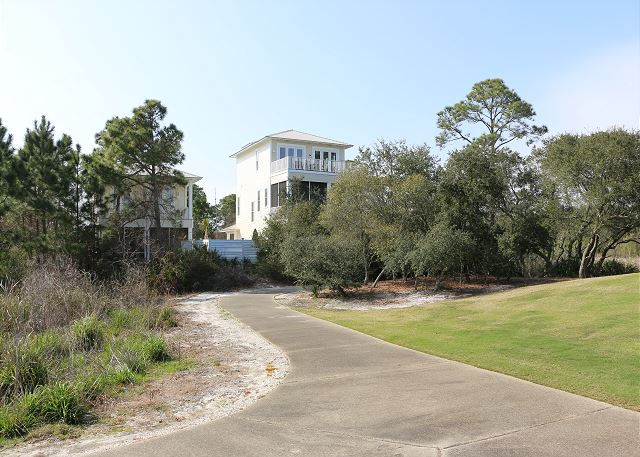 Back of houses