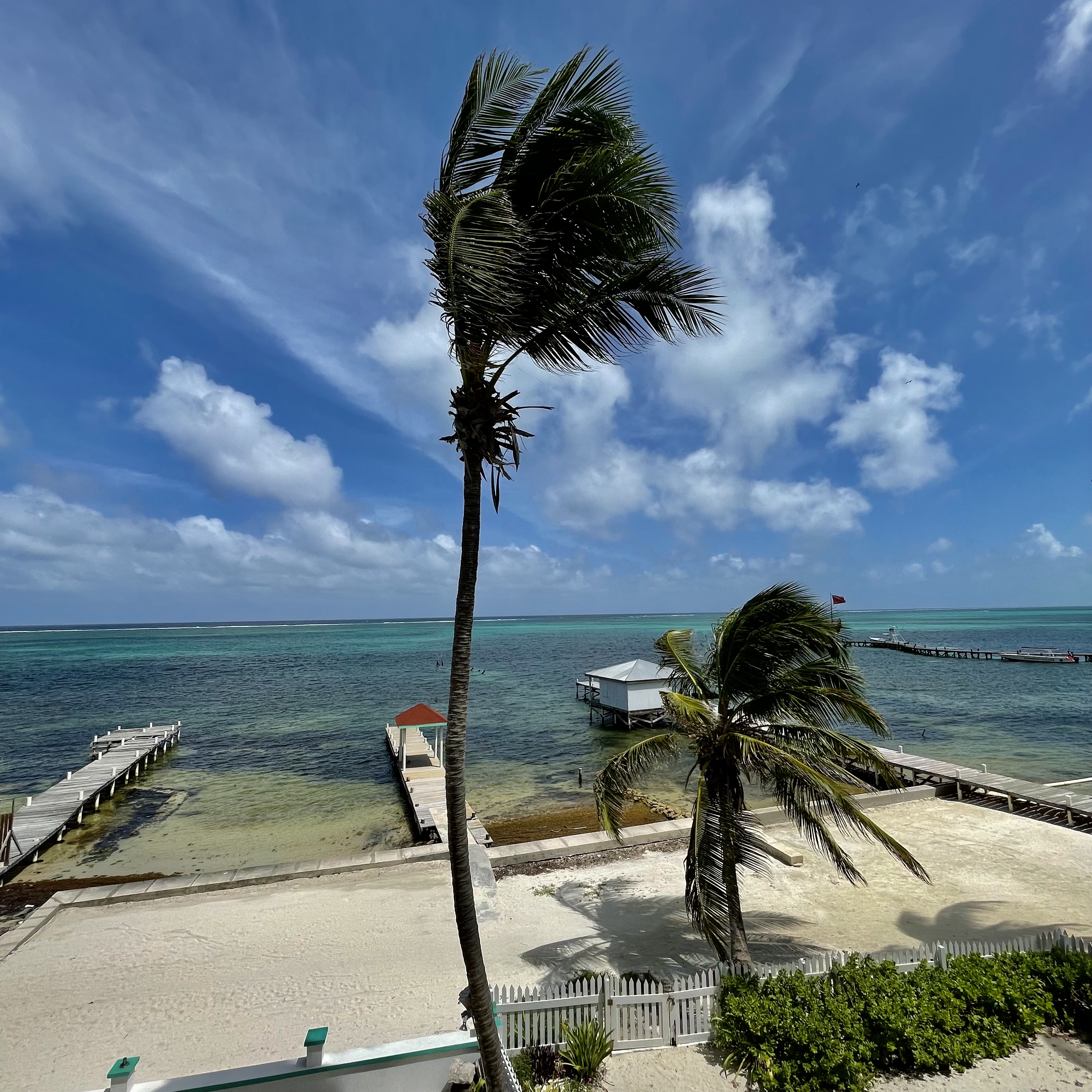 Belizean Reef - Suite 5