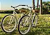 Two brand new bikes for your use!