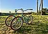 Two brand new bikes for your use!