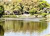 One of the beautiful ponds