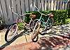 Brand new bikes for your use!