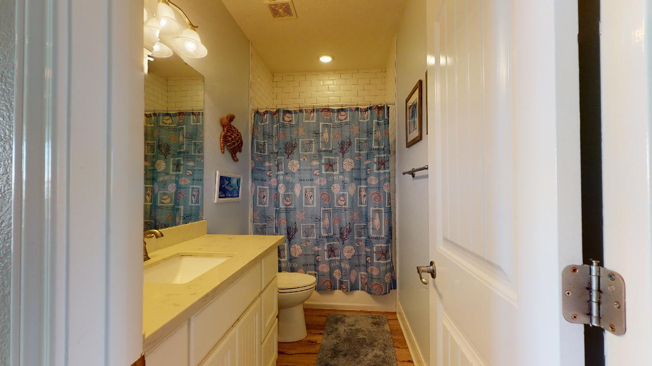 Looney Dunes | Photo 12