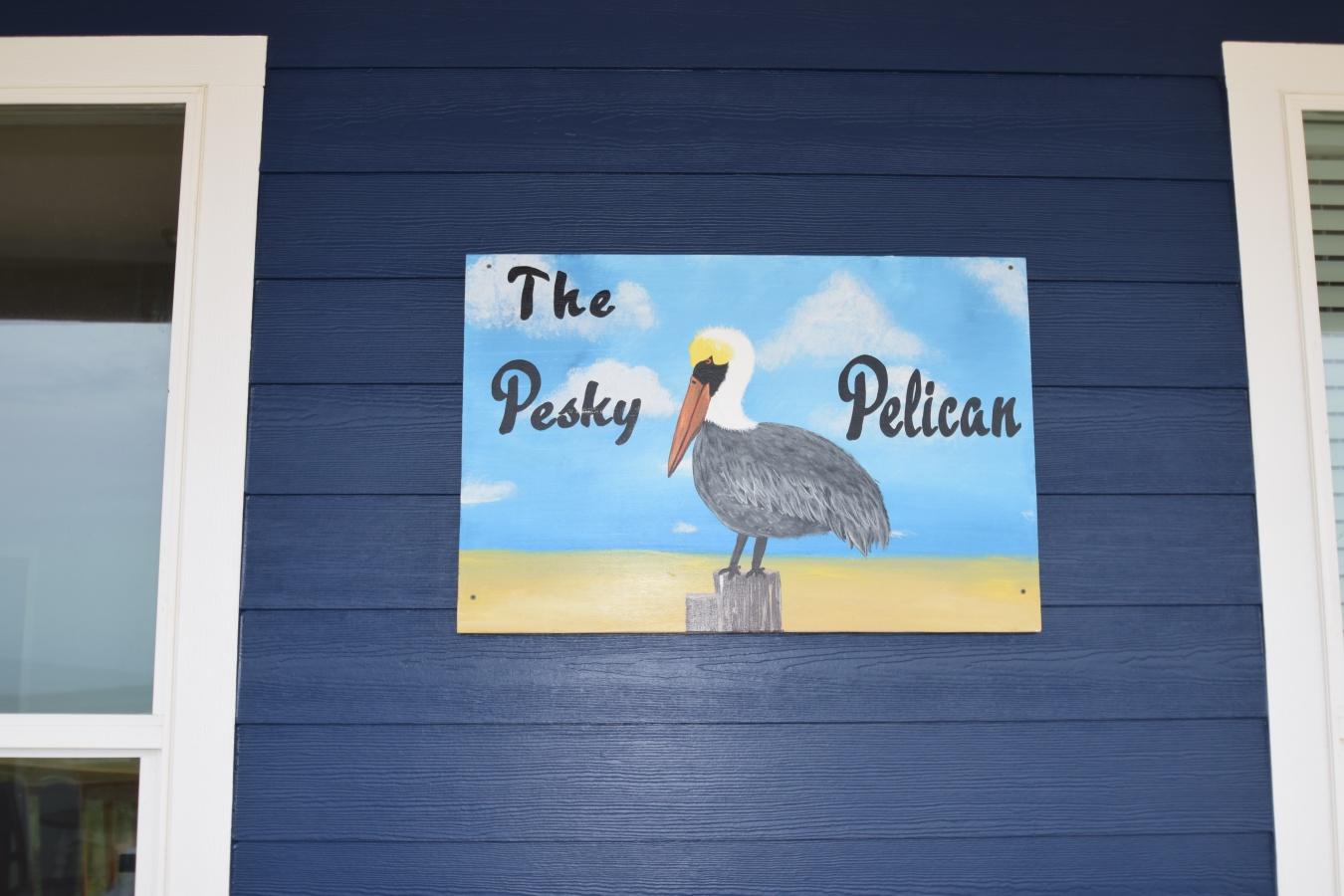 The Pesky Pelican | Photo 2