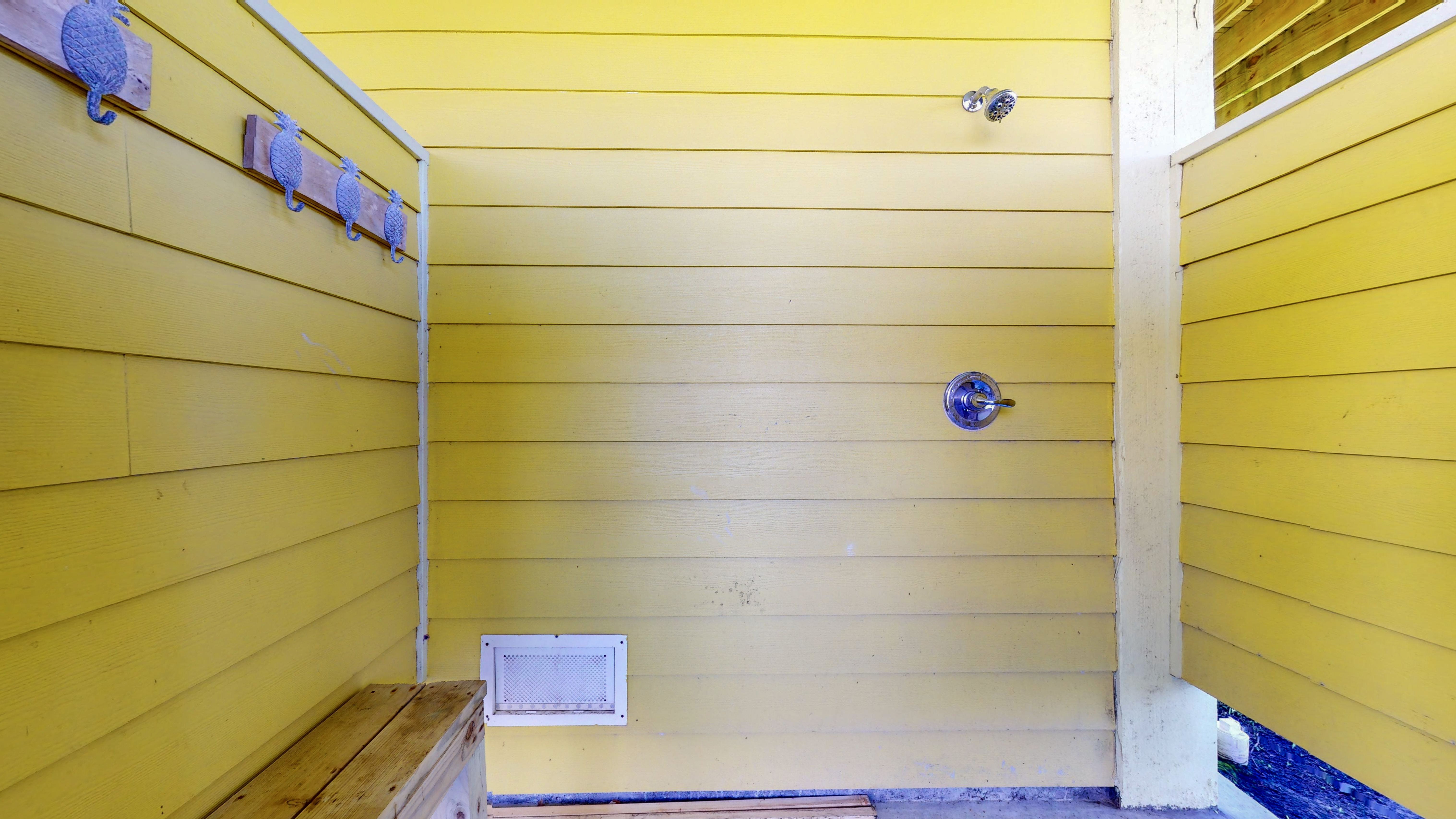 A Pineapple Paradise | Photo 22