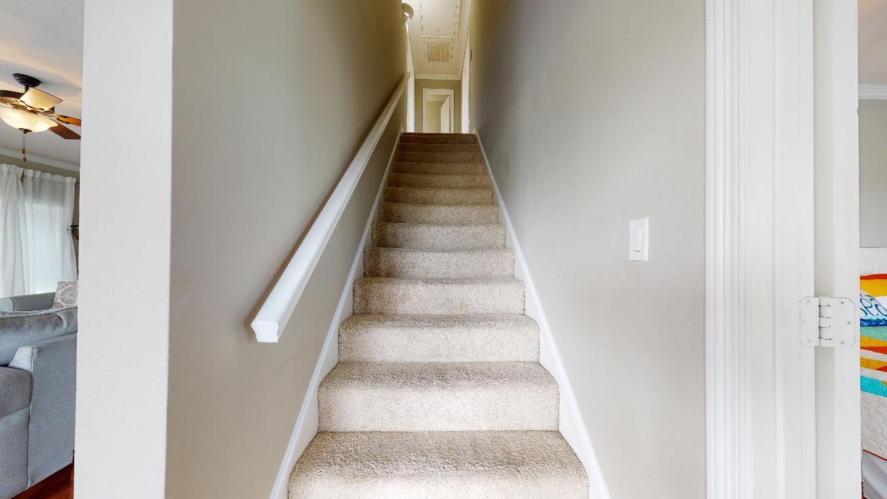 Melody of the Sea | Photo 16