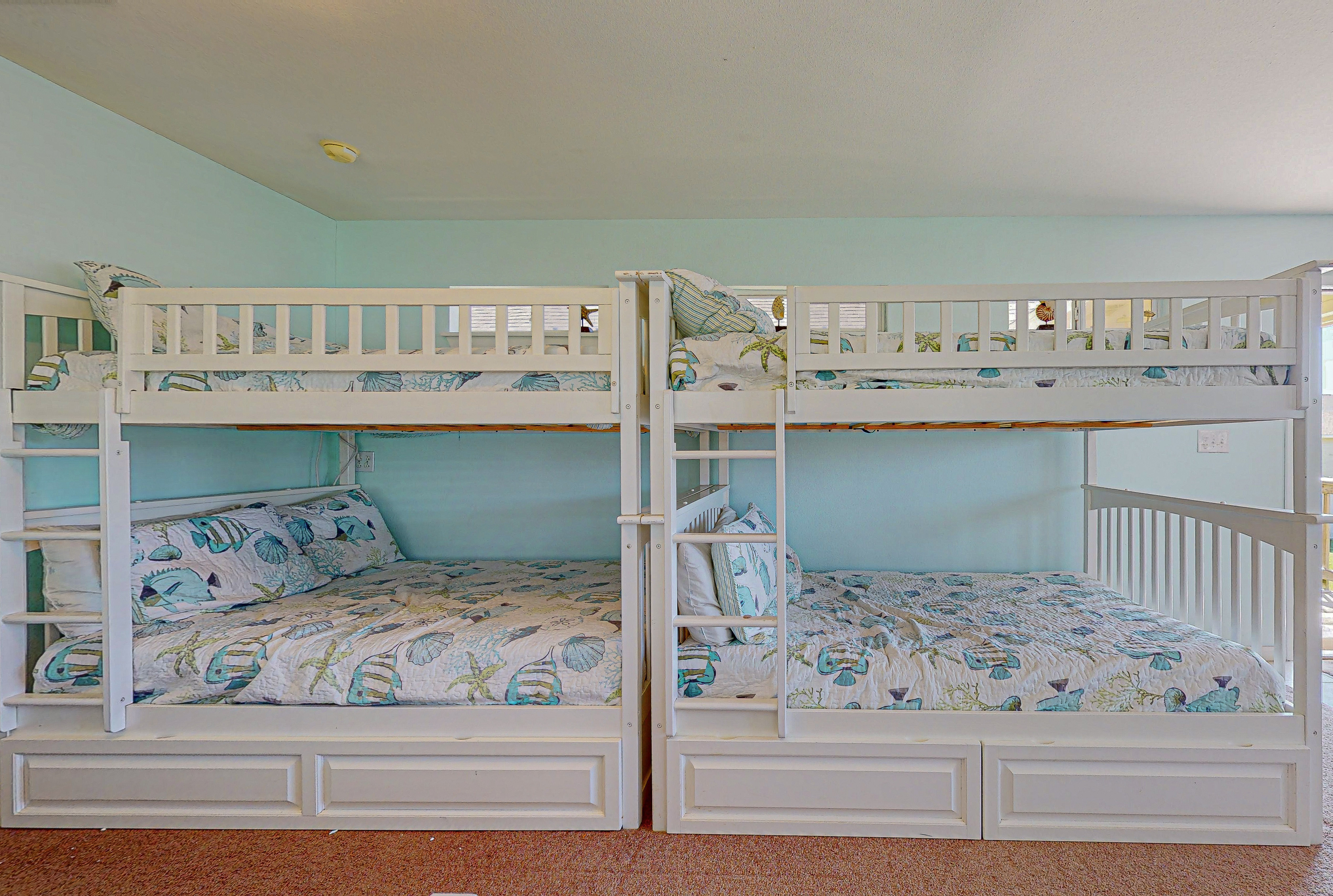 A Coral Crab | Photo 7