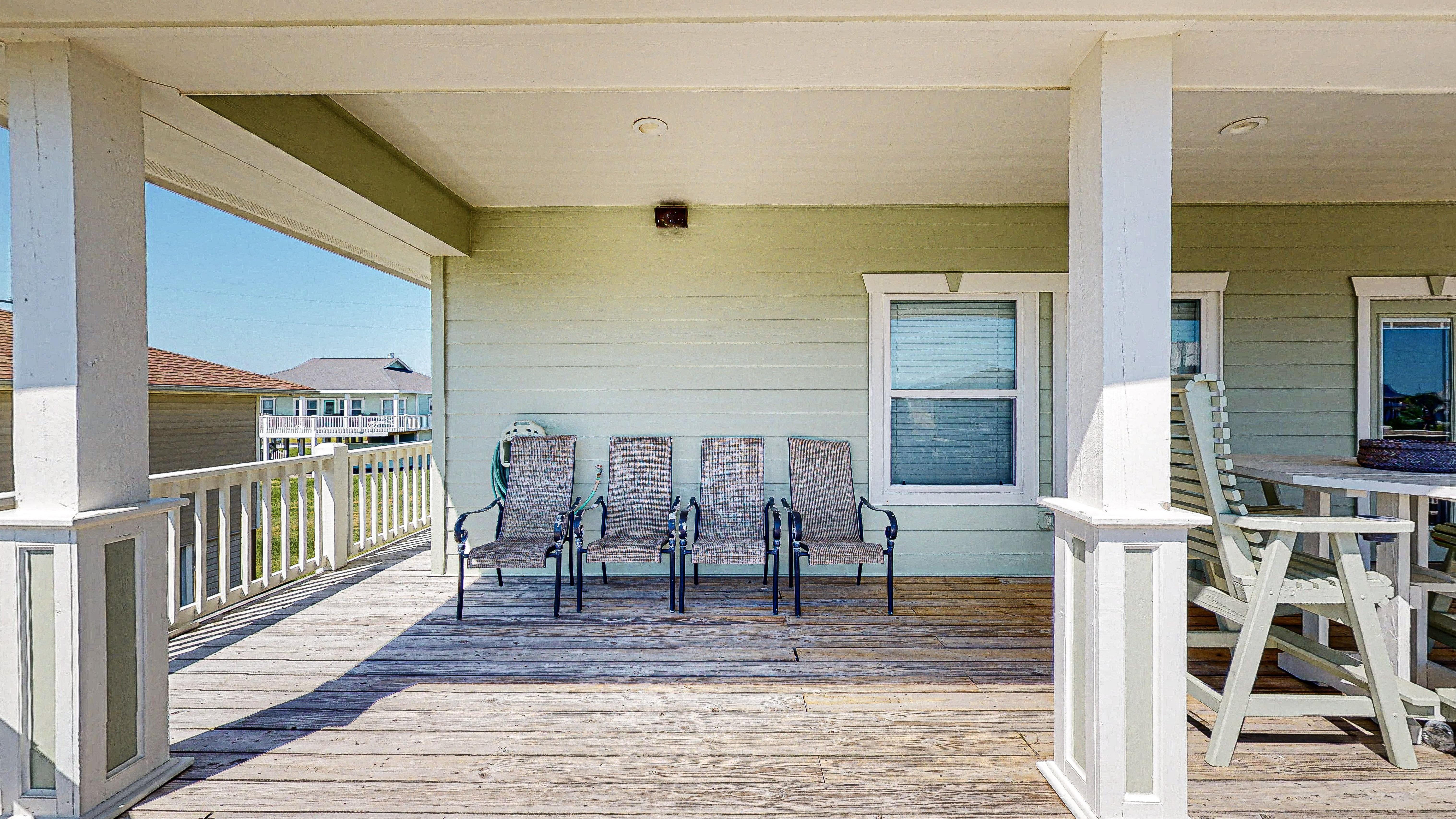 Spoonbill | Photo 21