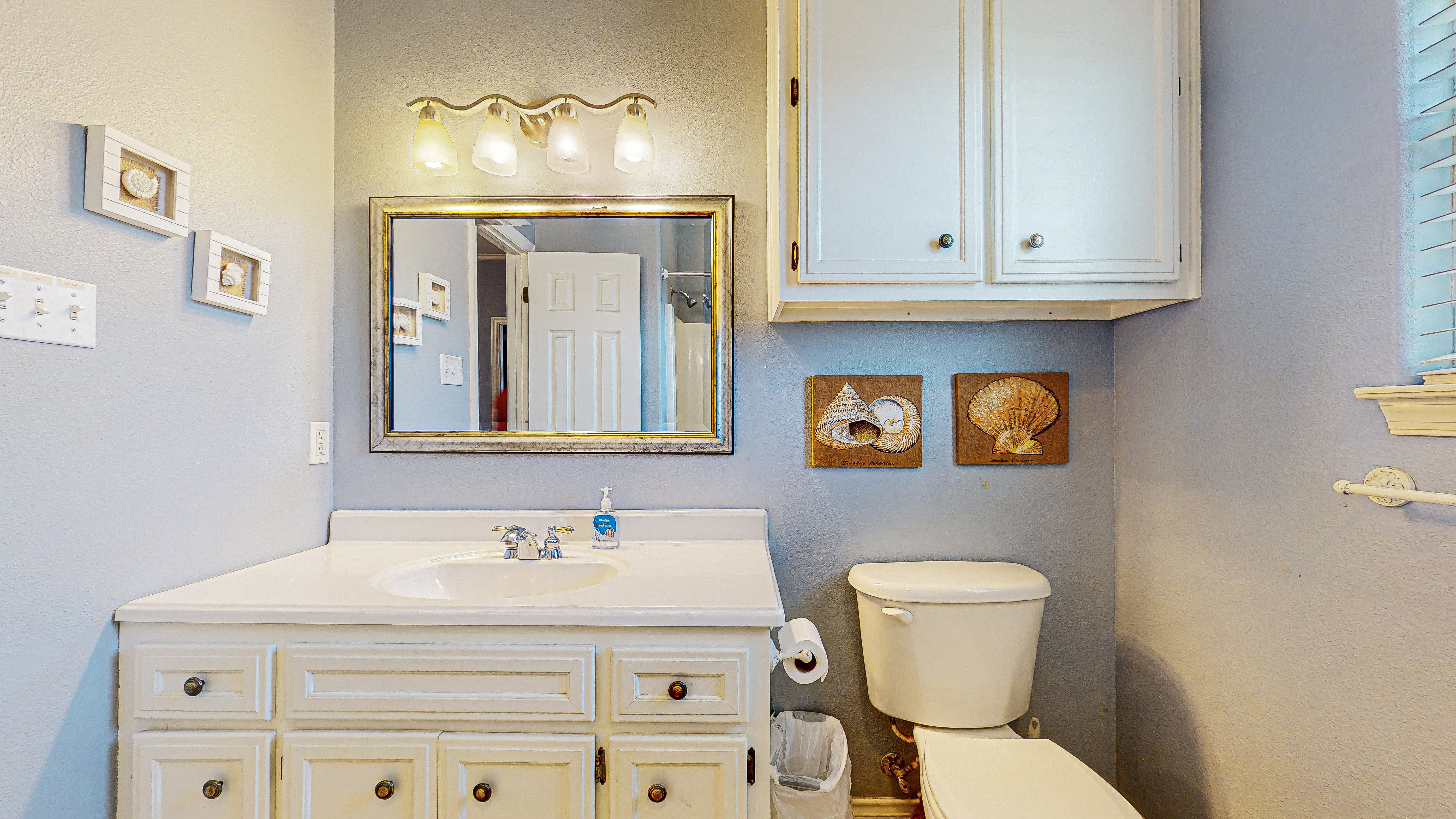 Spoonbill | Photo 12