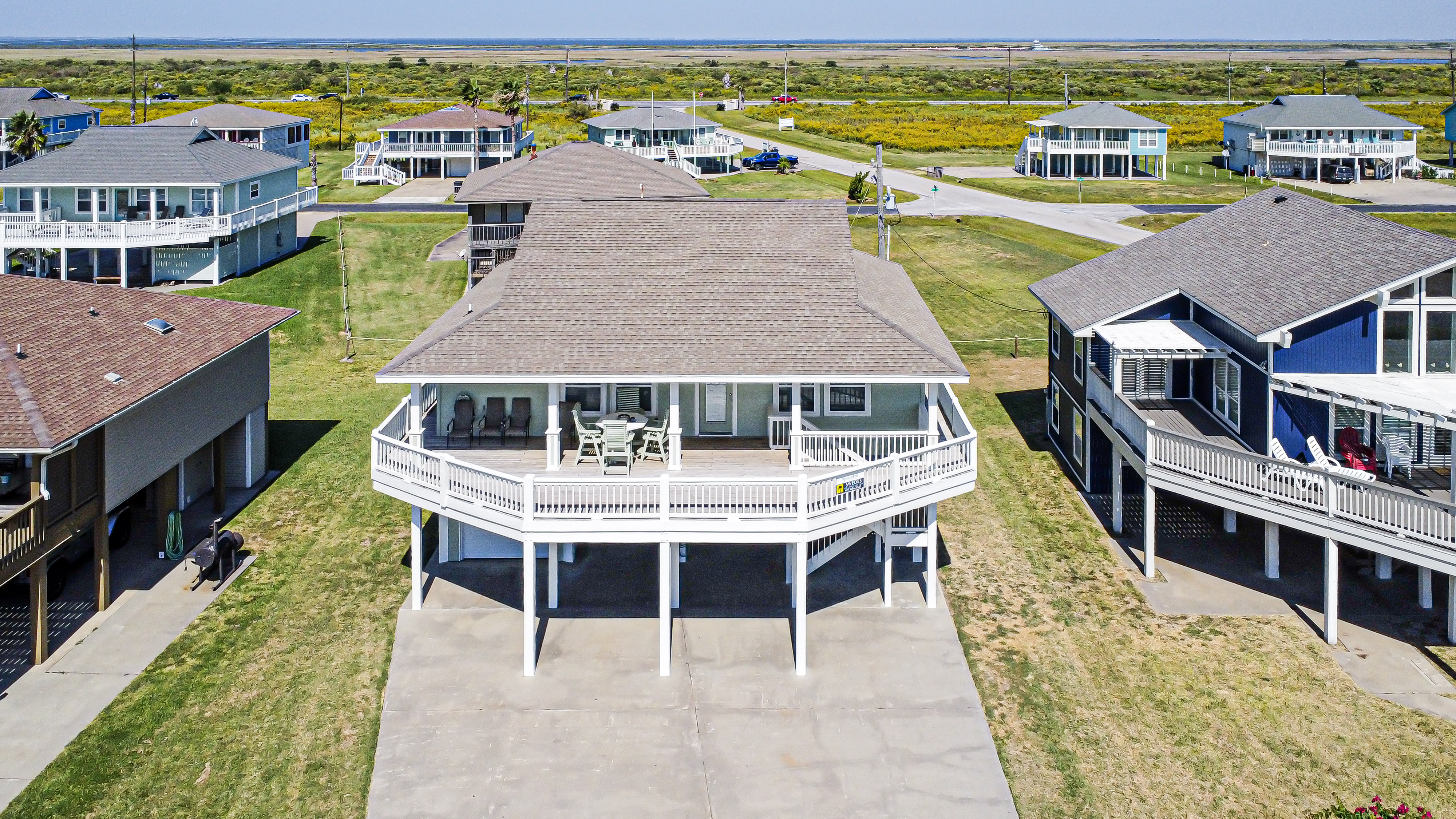 Spoonbill | Photo 25