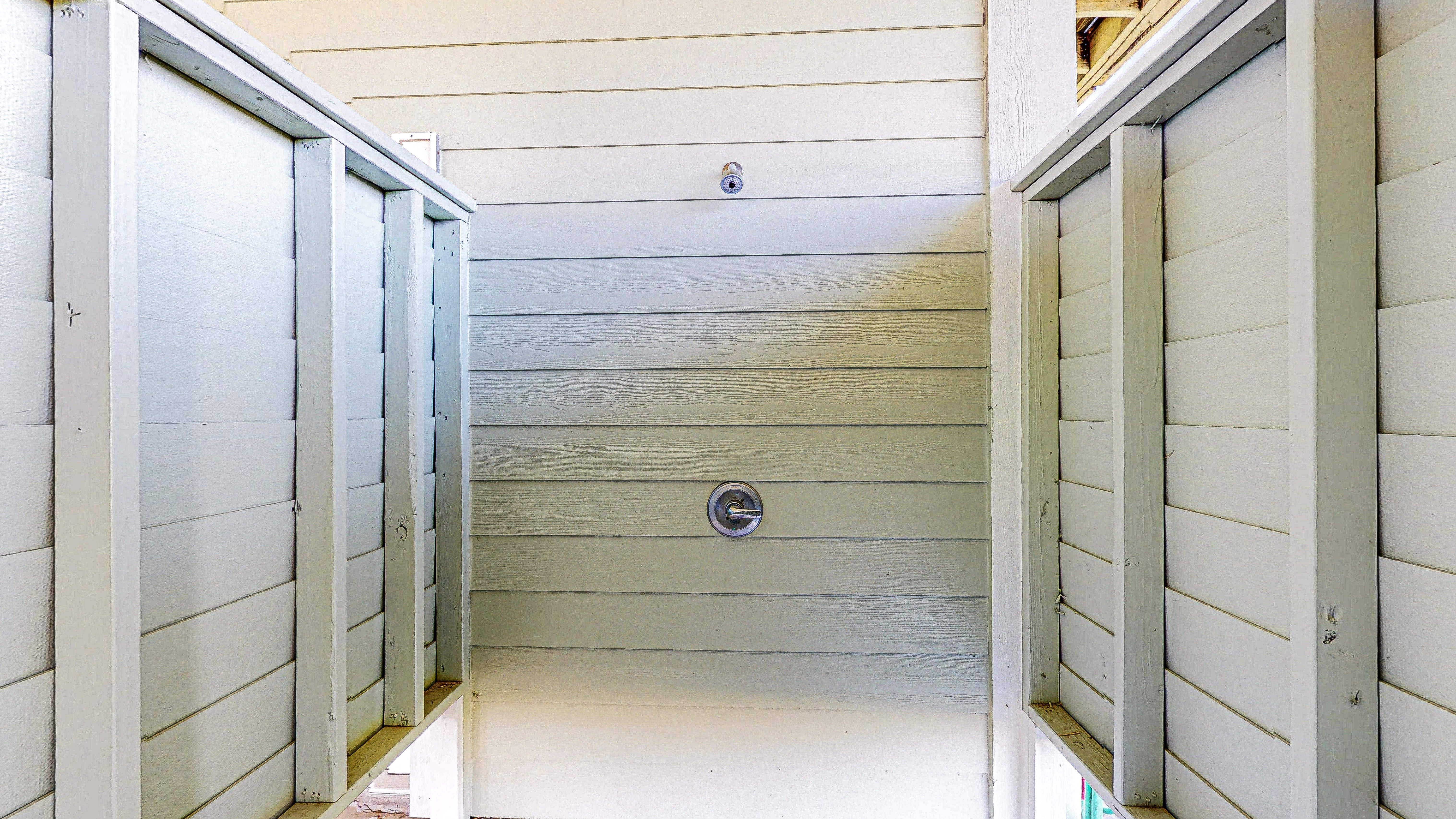 Spoonbill | Photo 23