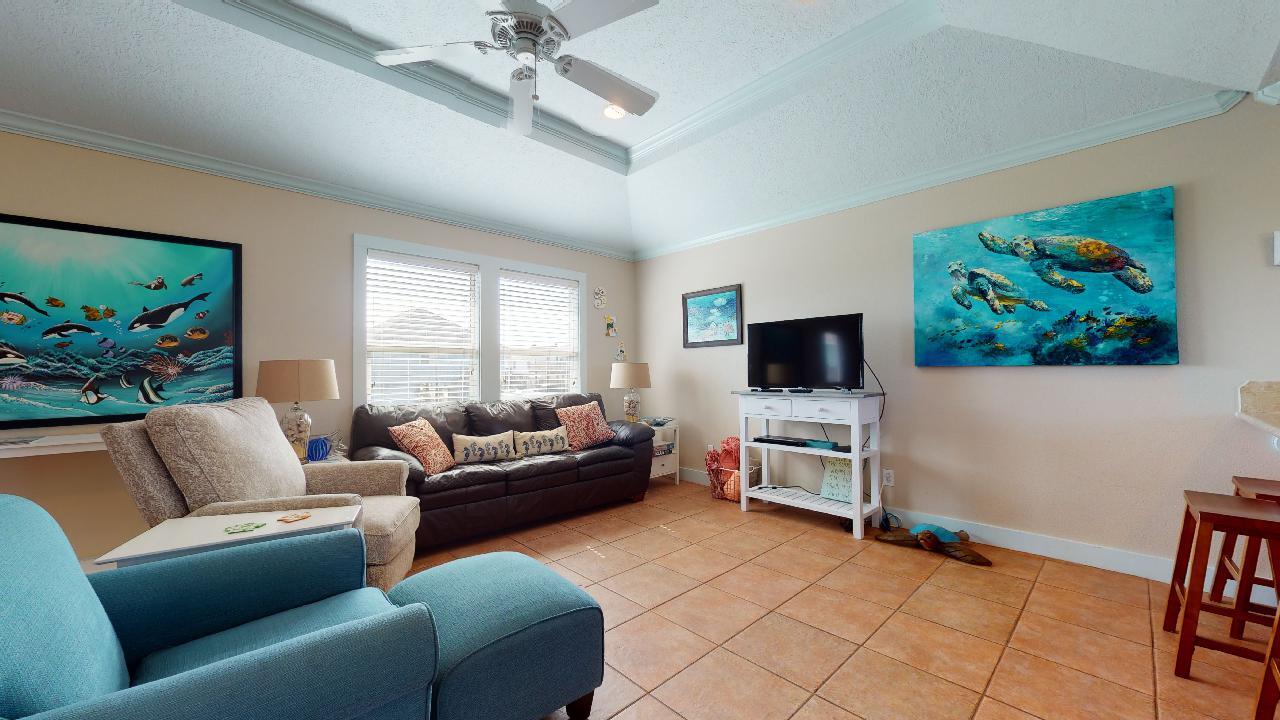 Blue Oyster | Photo 1