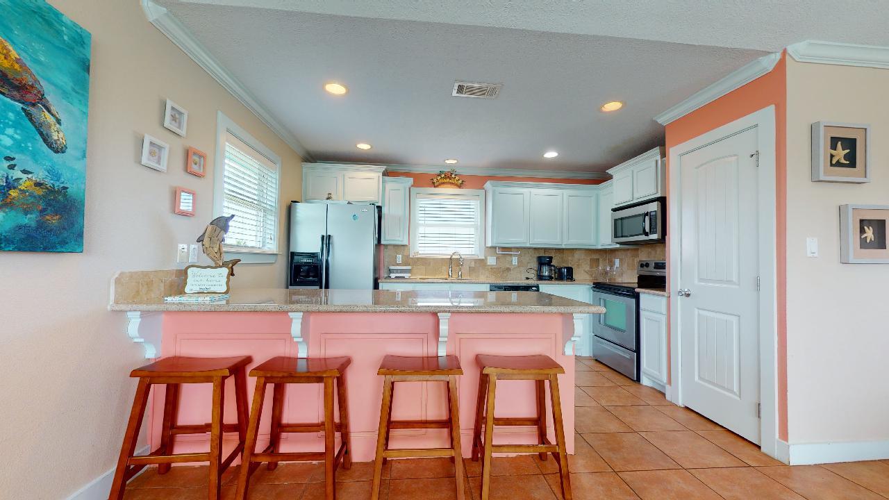 Blue Oyster | Photo 3