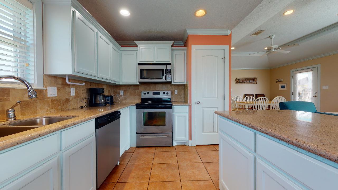 Blue Oyster | Photo 4