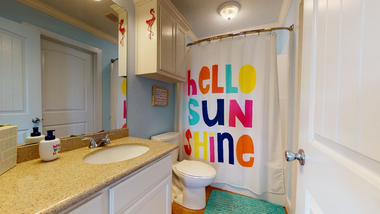 Blue Oyster | Photo 6