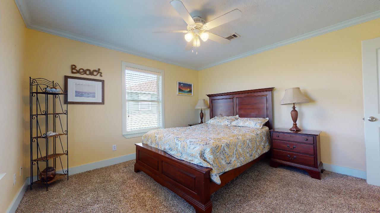 Blue Oyster | Photo 7