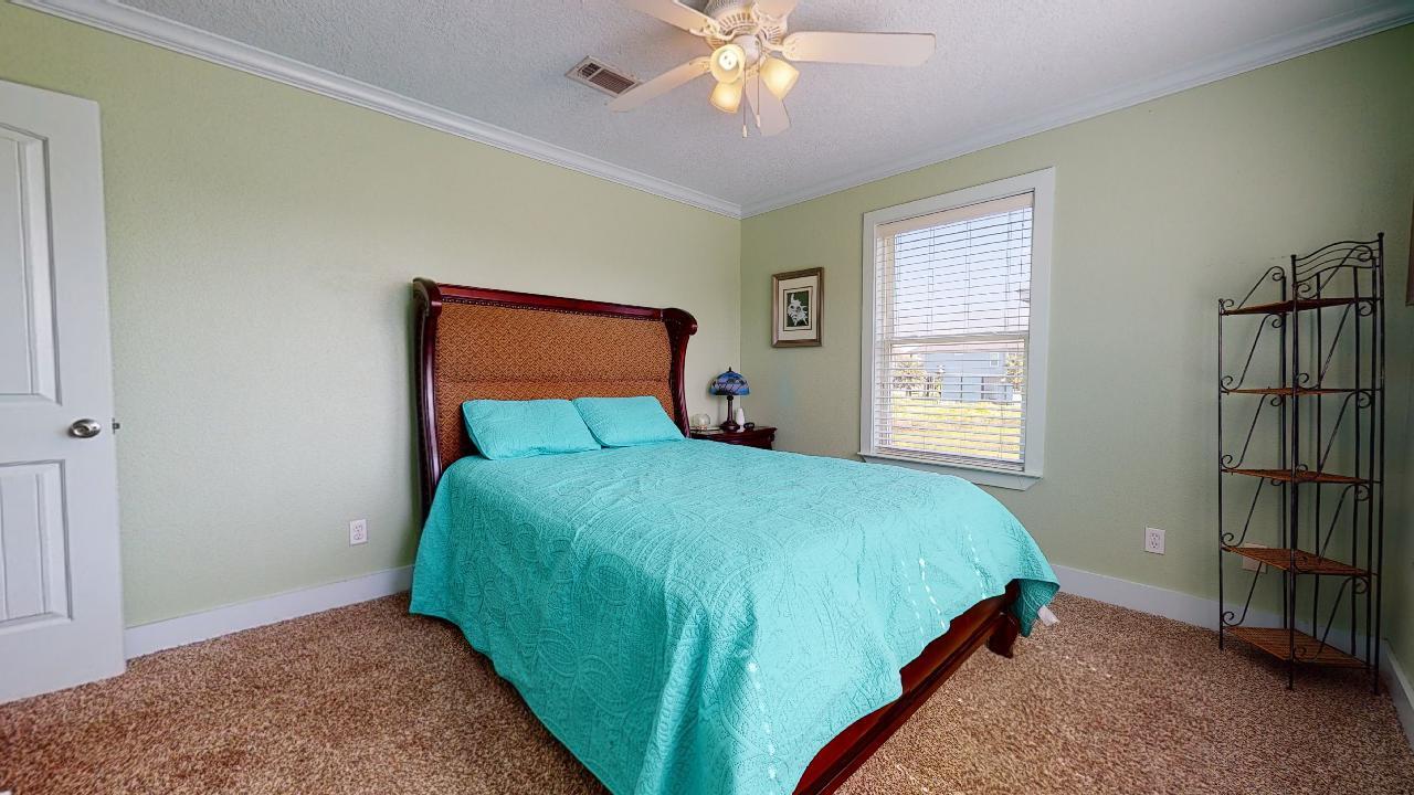 Blue Oyster | Photo 8