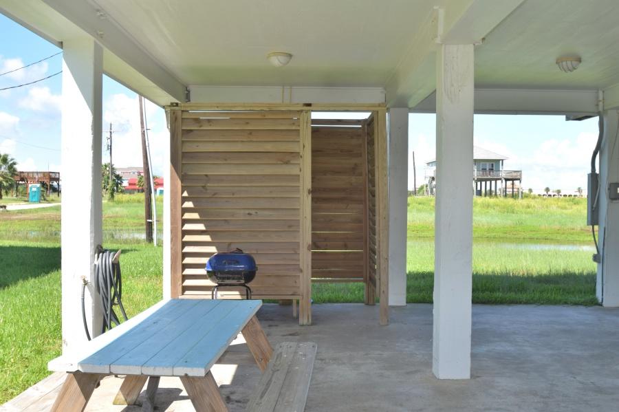 Blue Oyster | Photo 12