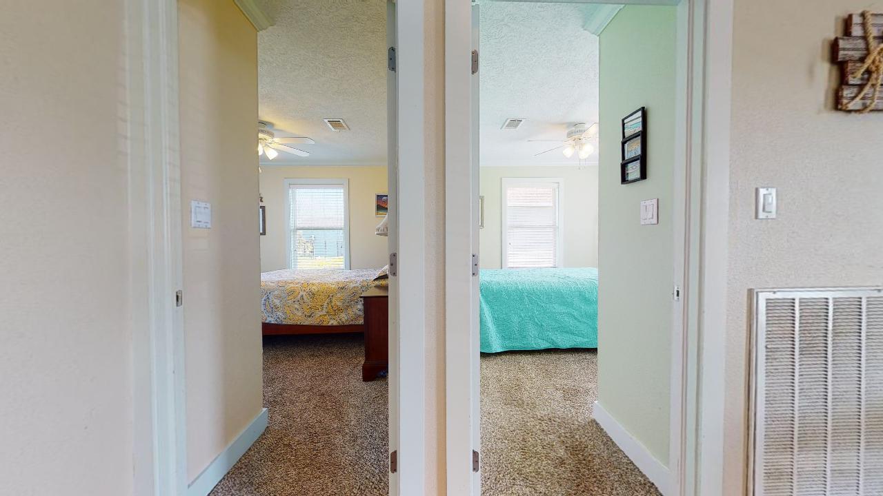 Blue Oyster | Photo 9