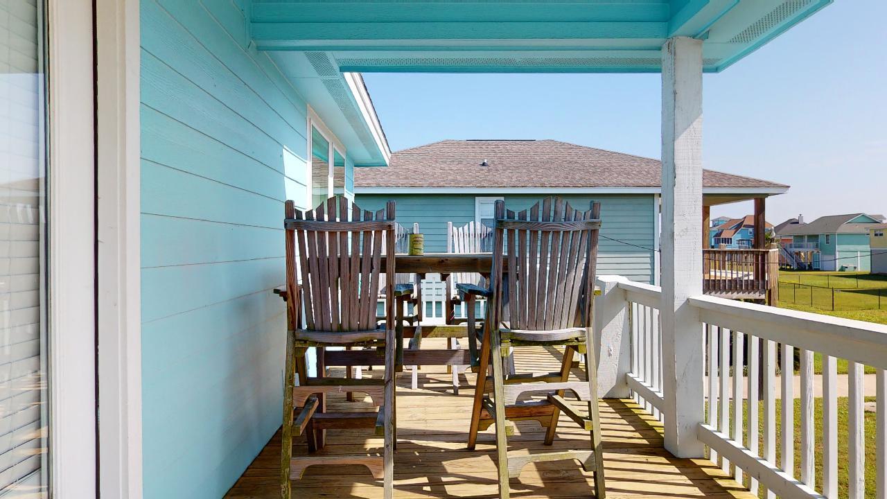 Blue Oyster | Photo 10