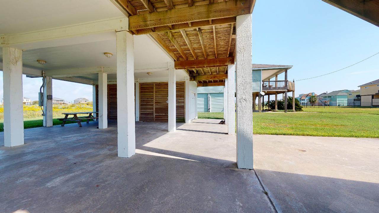 Blue Oyster | Photo 11