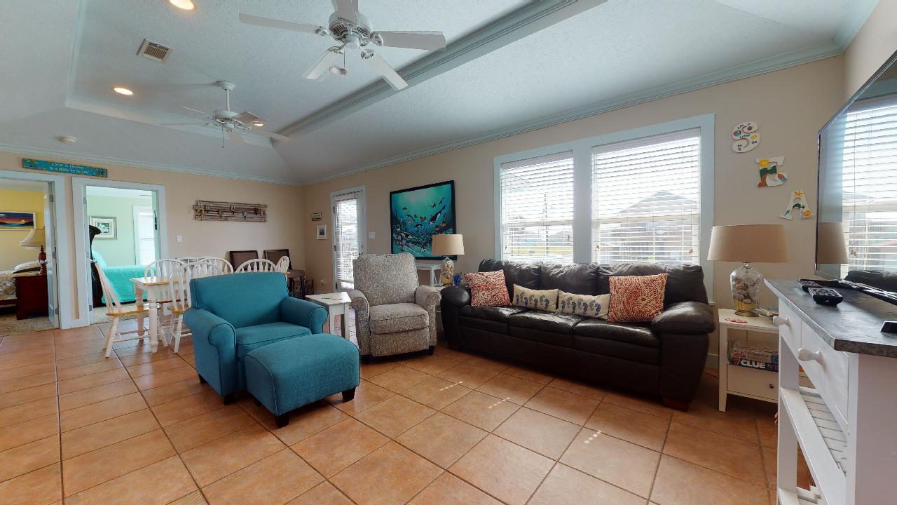 Blue Oyster | Photo 2