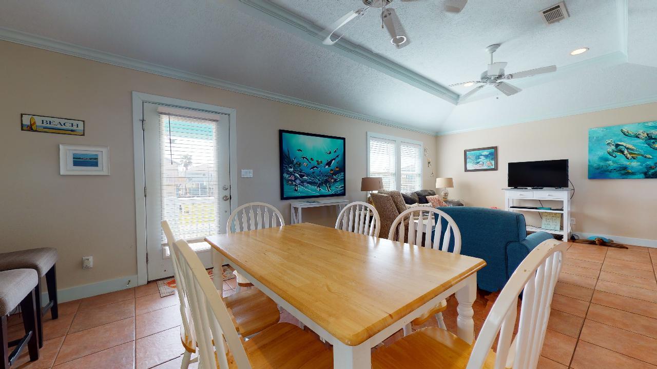 Blue Oyster | Photo 5