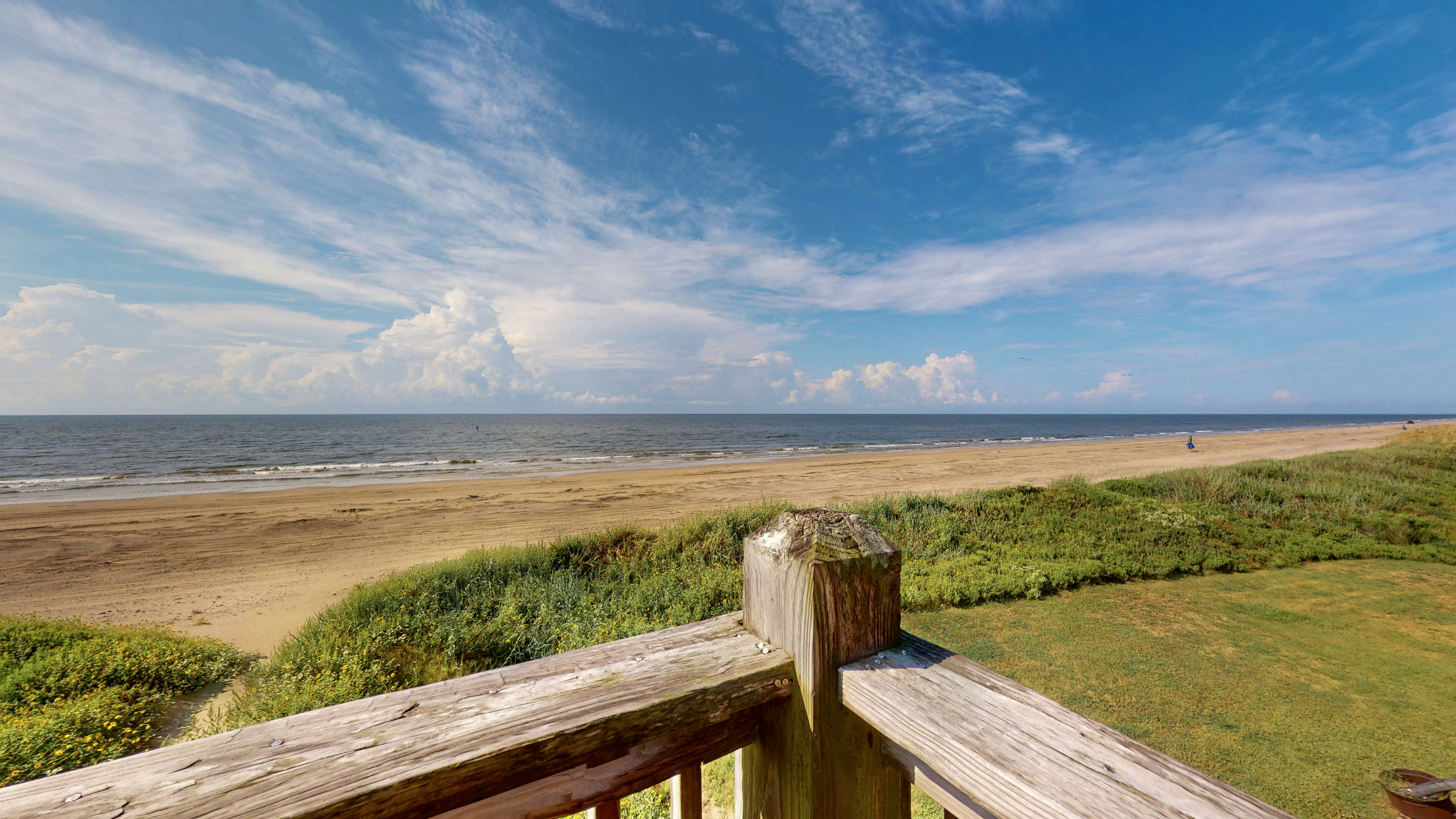 Lavender Rays | Photo 11