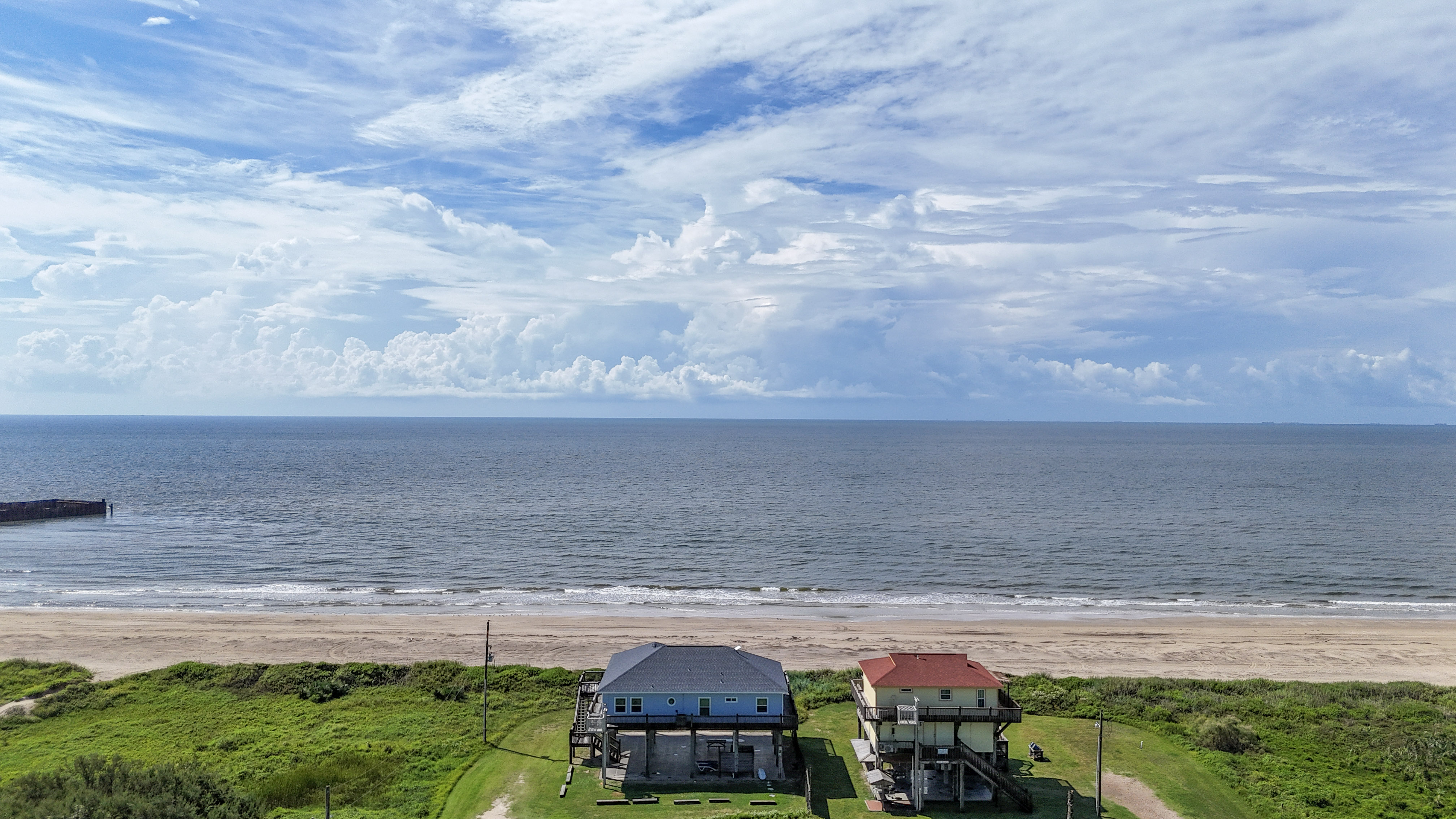 Lavender Rays | Photo 2